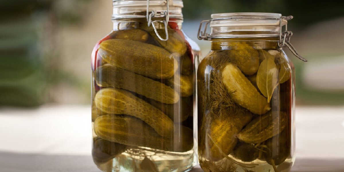 خیارشور لهستانی با ماندگاری بالا و بدون کپک زدگی + روش تهیه