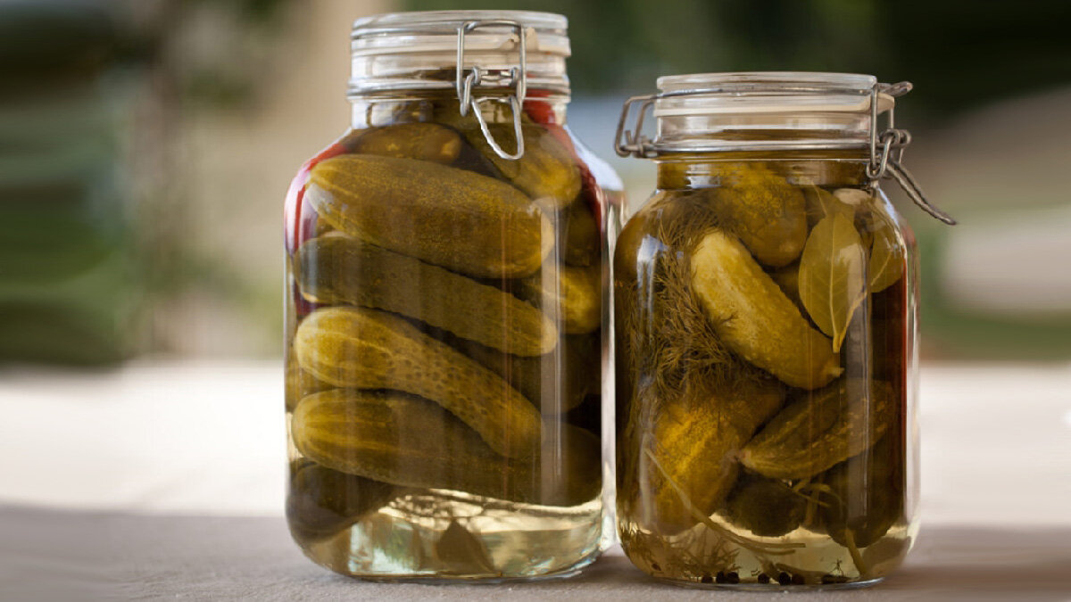 خیارشور لهستانی با ماندگاری بالا و بدون کپک زدگی + روش تهیه