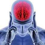 یک رژیم غذایی خاص؛ کلید داشتن مغزی سالم و فعال