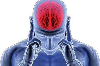 یک رژیم غذایی خاص؛ کلید داشتن مغزی سالم و فعال