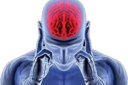 یک رژیم غذایی خاص؛ کلید داشتن مغزی سالم و فعال
