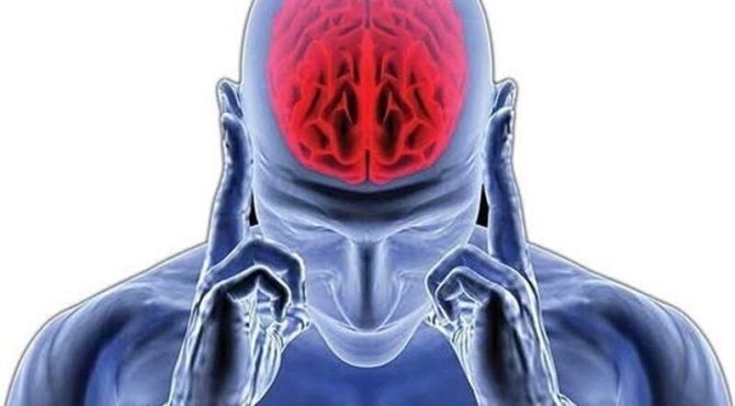 یک رژیم غذایی خاص؛ کلید داشتن مغزی سالم و فعال
