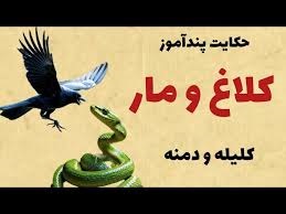 کلاغ دانا با تدبیر شغال، مار بدکردار را به دام انتقام هوشمندانه کشاند
